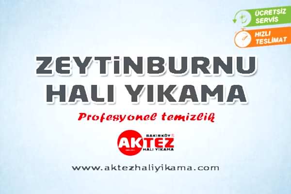Zeytinburnu Halı Yıkama